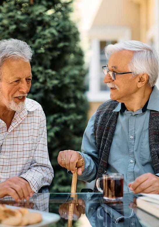 Two elderlies having converstation | peaceful Pines